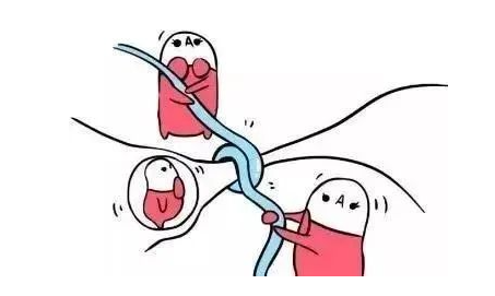 1697522874967375.png image.png