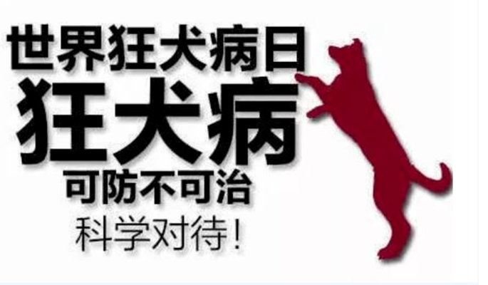 1697524568853252.png image.png